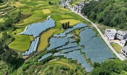 平塘县塘边镇爆料视频